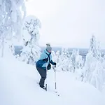 Satu, Kahden Makuuhuoneen Kelomoekki, Lukuisten Polkujen, Polkupyoeraereitin Sekae Kalaisan Tunturilammen Vieressae