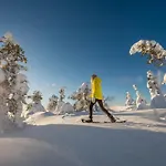 Satu, Kahden Makuuhuoneen Kelomoekki, Lukuisten Polkujen, Polkupyoeraereitin Sekae Kalaisan Tunturilammen Vieressae * Syöte