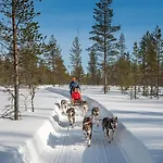 Satu, Kahden Makuuhuoneen Kelomoekki, Lukuisten Polkujen, Polkupyoeraereitin Sekae Kalaisan Tunturilammen Vieressae