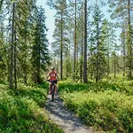 Satu, Kahden Makuuhuoneen Kelomoekki, Lukuisten Polkujen, Polkupyoeraereitin Sekae Kalaisan Tunturilammen Vieressae Ferienhaus *