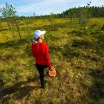 Satu, Kahden Makuuhuoneen Kelomoekki, Lukuisten Polkujen, Polkupyoeraereitin Sekae Kalaisan Tunturilammen Vieressae Syöte