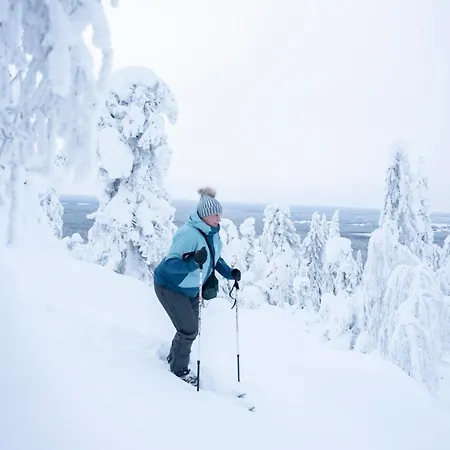 Satu, Kahden Makuuhuoneen Kelomoekki, Lukuisten Polkujen, Polkupyoeraereitin Sekae Kalaisan Tunturilammen Vieressae