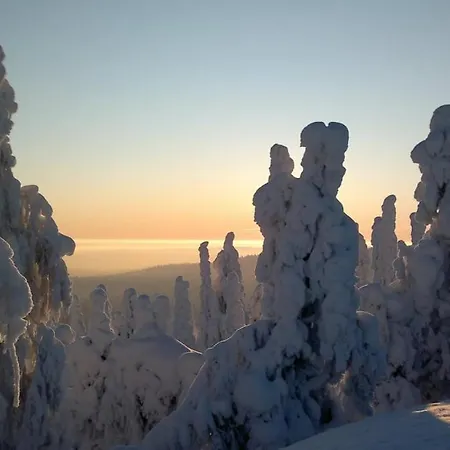 Satu 31, Kahden Makuuhuoneen Kelomoekki Syoetteellae, Valaistun Ladun Vieressae Vakantiehuis