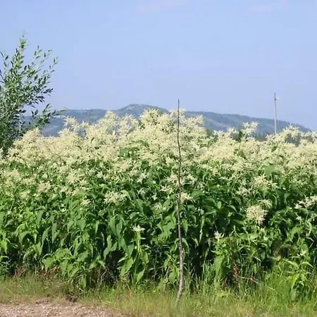 Satu 31, Kahden Makuuhuoneen Kelomoekki Syoetteellae, Valaistun Ladun Vieressae Vakantiehuis Syöte