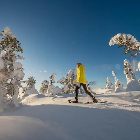 Satu 31, Kahden Makuuhuoneen Kelomoekki Syoetteellae, Valaistun Ladun Vieressae * Syöte