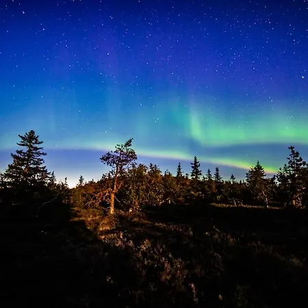 Satu 31, Kahden Makuuhuoneen Kelomoekki Syoetteellae, Valaistun Ladun Vieressae Vakantiehuis