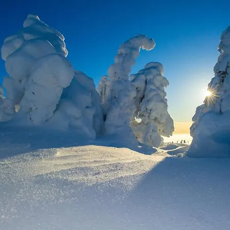 Satu 31, Kahden Makuuhuoneen Kelomoekki Syoetteellae, Valaistun Ladun Vieressae Syöte