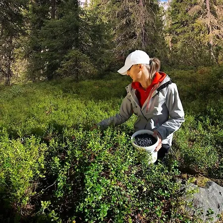 Satu, Kahden Makuuhuoneen Kelomoekki, Lukuisten Polkujen, Polkupyoeraereitin Sekae Kalaisan Tunturilammen Vieressae *