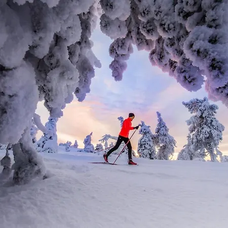 Satu 31, Kahden Makuuhuoneen Kelomoekki Syoetteellae, Valaistun Ladun Vieressae * Syöte