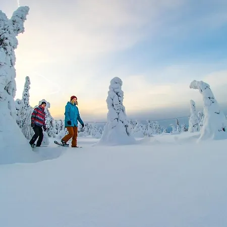 Satu 31, Kahden Makuuhuoneen Kelomoekki Syoetteellae, Valaistun Ladun Vieressae