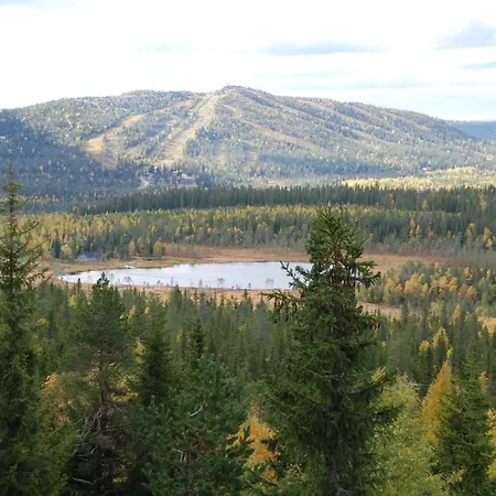 Satu 31, Kahden Makuuhuoneen Kelomoekki Syoetteellae, Valaistun Ladun Vieressae Syöte