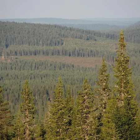 別荘 Satu 31, Kahden Makuuhuoneen Kelomoekki Syoetteellae, Valaistun Ladun Vieressae *