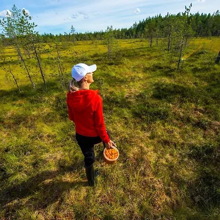 Satu, Kahden Makuuhuoneen Kelomoekki, Lukuisten Polkujen, Polkupyoeraereitin Sekae Kalaisan Tunturilammen Vieressae Syöte