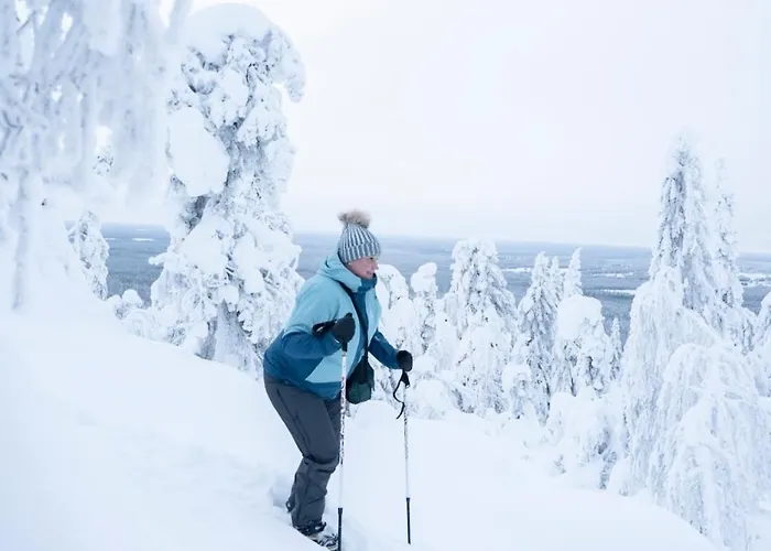 Satu 31, Kahden Makuuhuoneen Kelomoekki Syoetteellae, Valaistun Ladun Vieressae