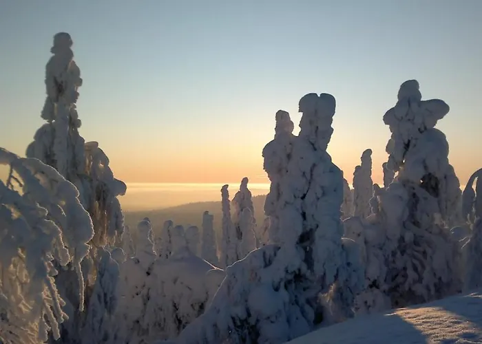 Satu 31, Kahden Makuuhuoneen Kelomoekki Syoetteellae, Valaistun Ladun Vieressae בית נופש