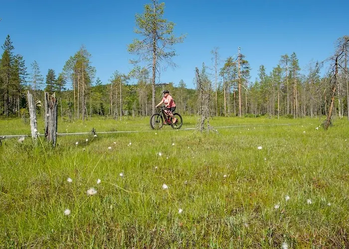 Satu 31, Kahden Makuuhuoneen Kelomoekki Syoetteellae, Valaistun Ladun Vieressae