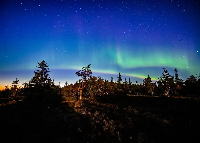 Satu 31, Kahden Makuuhuoneen Kelomoekki Syoetteellae, Valaistun Ladun Vieressae בית נופש