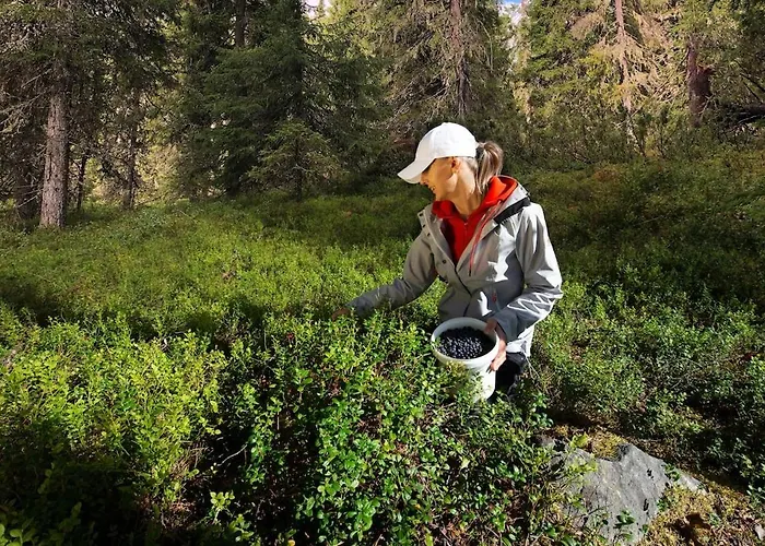 Satu 31, Kahden Makuuhuoneen Kelomoekki Syoetteellae, Valaistun Ladun Vieressae *