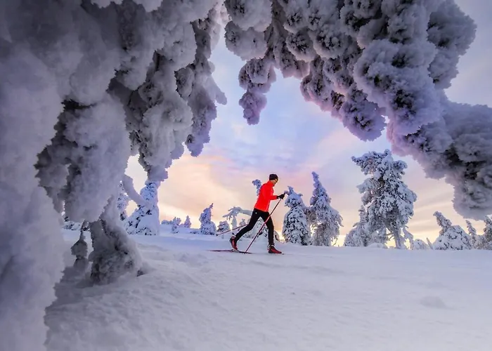 Satu 31, Kahden Makuuhuoneen Kelomoekki Syoetteellae, Valaistun Ladun Vieressae * סיוטה