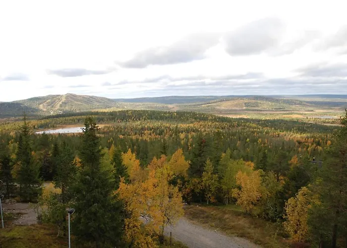 Satu 31, Kahden Makuuhuoneen Kelomoekki Syoetteellae, Valaistun Ladun Vieressae